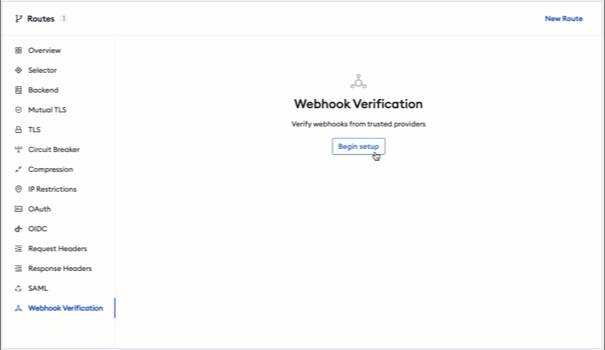 webhook verification in ngrok