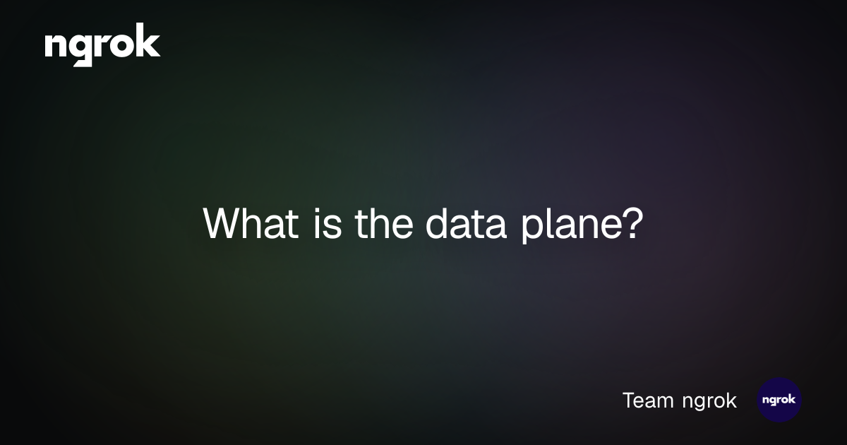 What is the data plane? | ngrok blog