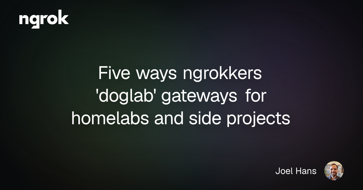 Five ways ngrokkers 'doglab' gateways for homelabs and side projects | ngrok blog