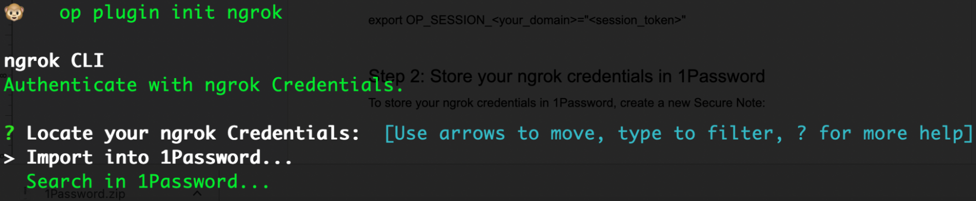 Import your ngrok credentials into 1Password